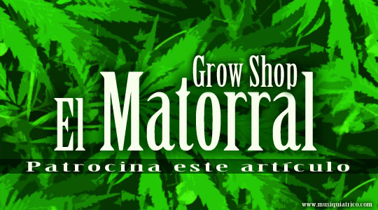 Grow Shop El Matorral y El Musiquiátrico
