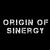 Imagen de perfil del autor del sitio web Origin Of Sinergy